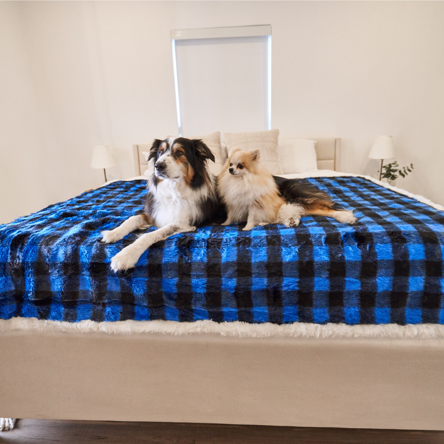 Waterproof Dog Blanket - Blue Buffalo Check