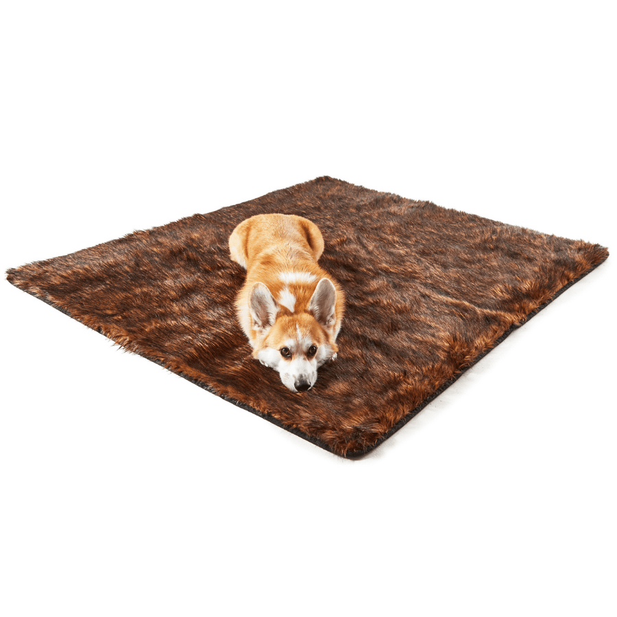 Waterproof blanket for dogs - Brown