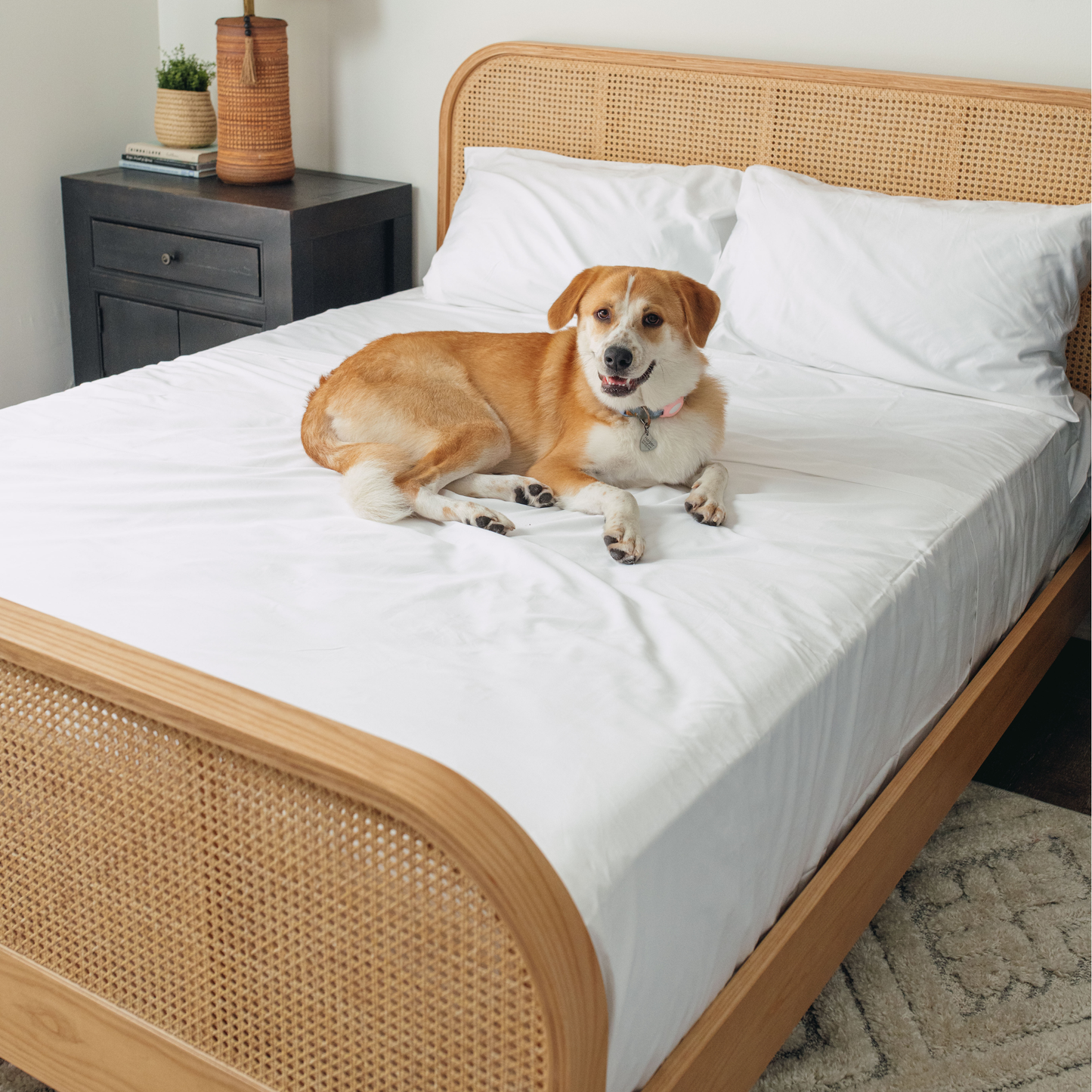 Hair Resistant, Antimicrobial and Cooling Bedding for Dogs - White