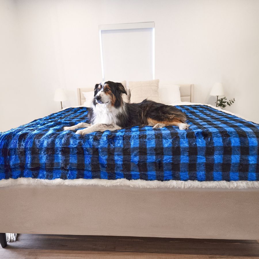 Waterproof Dog Blanket - Blue Buffalo Check