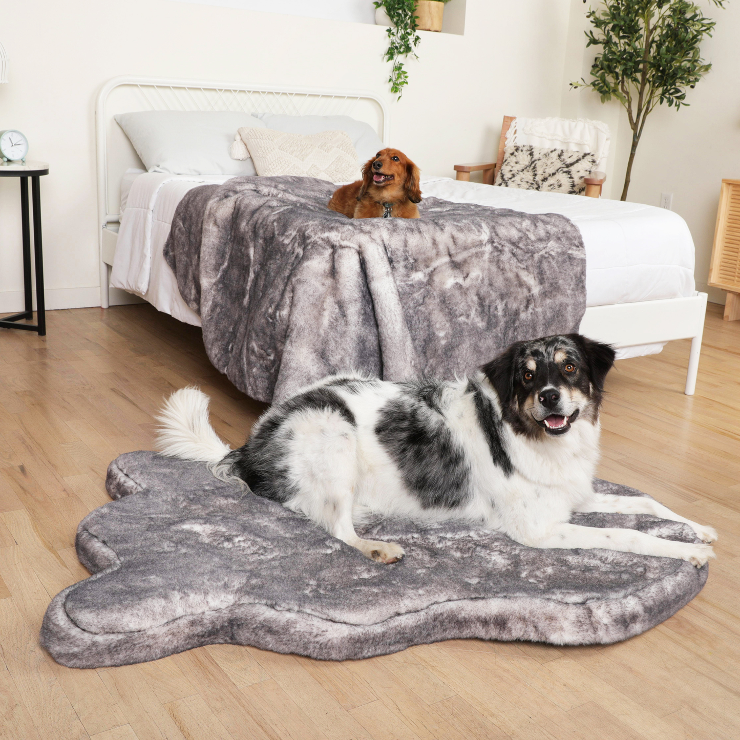 Orthopedic dog bed with waterproof blanket - Chinchilla