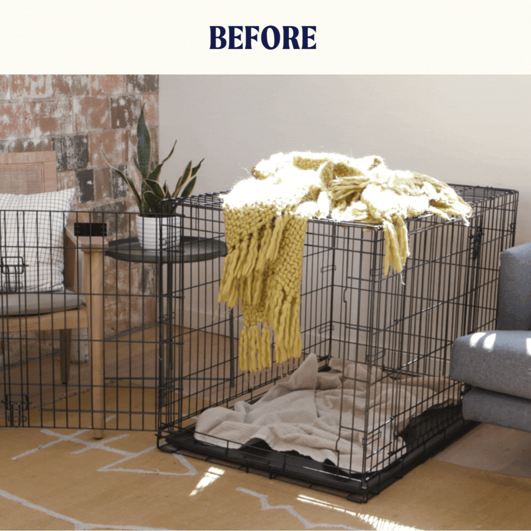Crate Upgrade Set - Anthracite for Dogs
