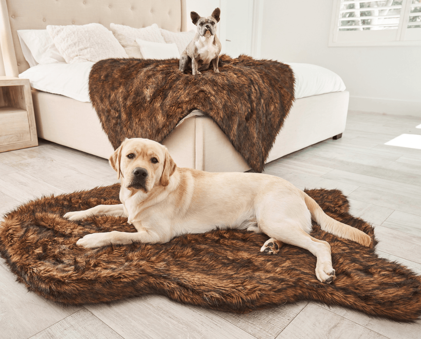 Orthopedic Dog Bed with Waterproof Blanket - Brown