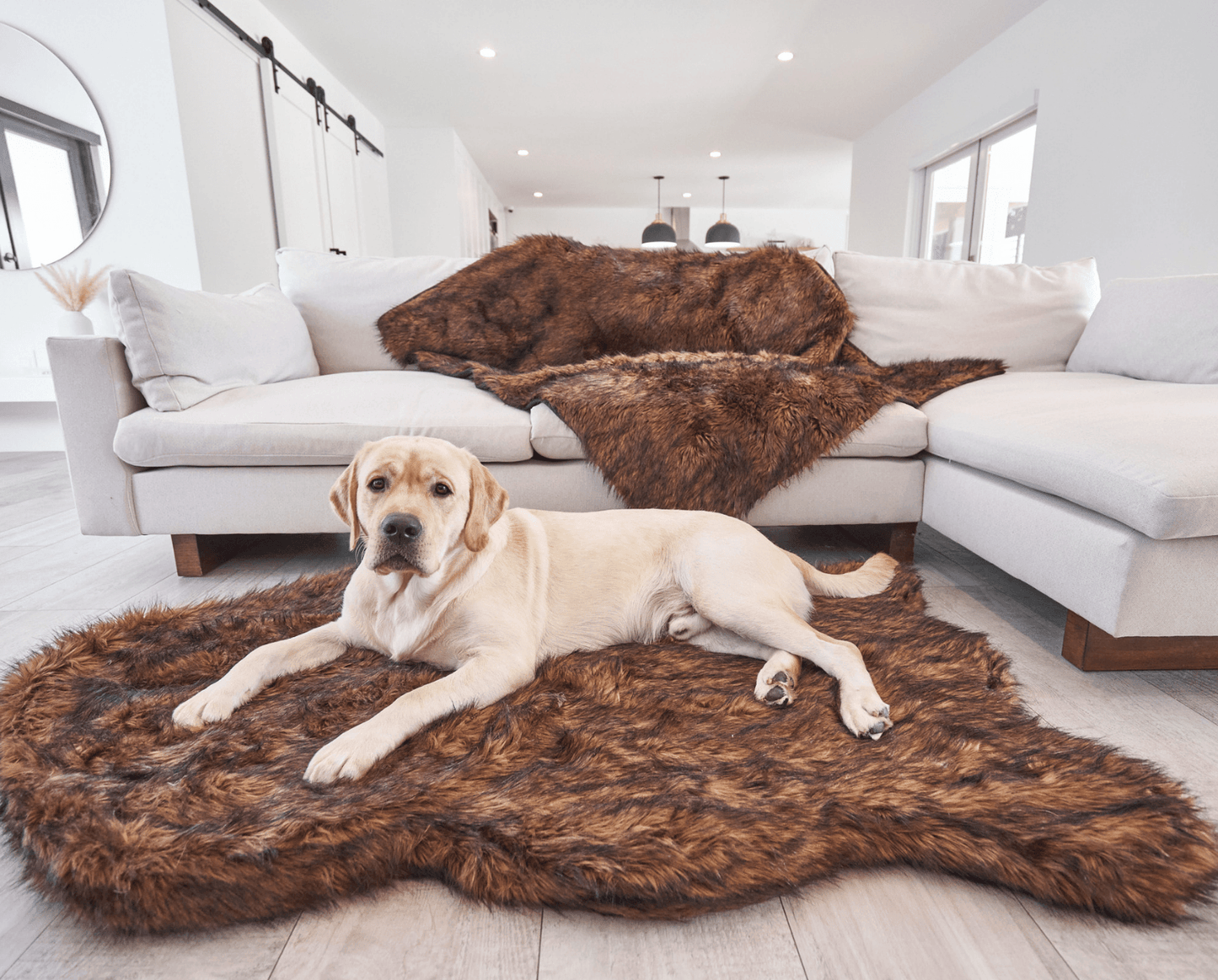 Orthopedic Faux Fur Dog Bed - Curve Brown