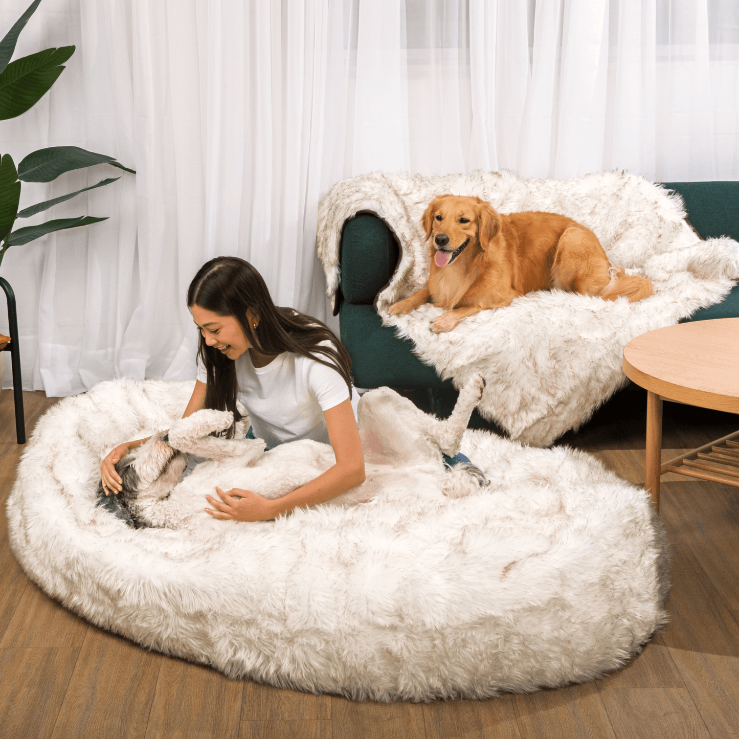 Dog Bed with Waterproof Blanket - White with Brown Accents
