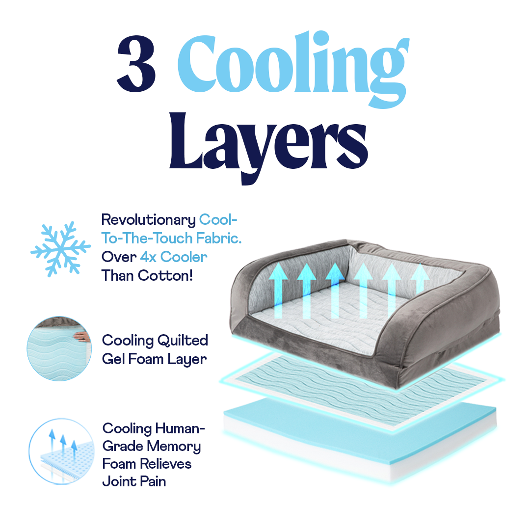 Cooling dog bed