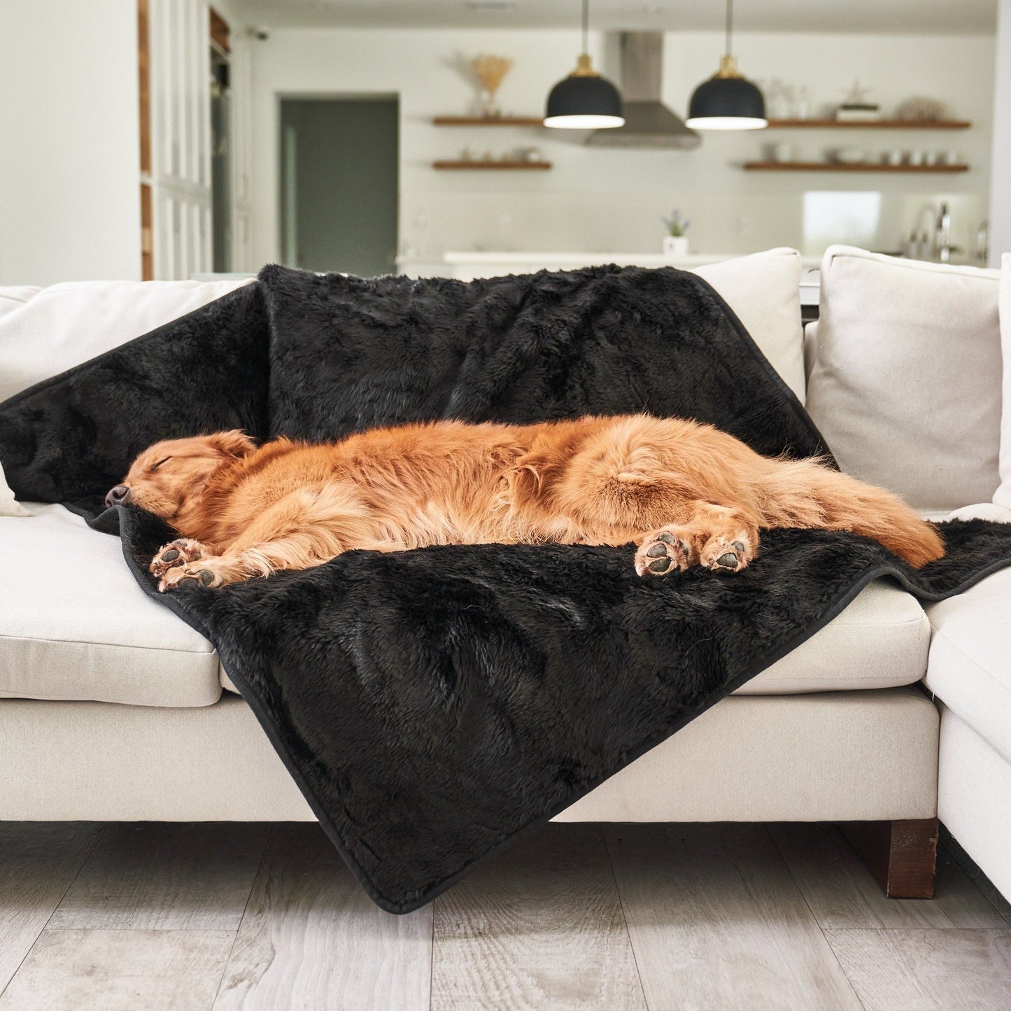 Waterproof summer blanket for dogs - Black