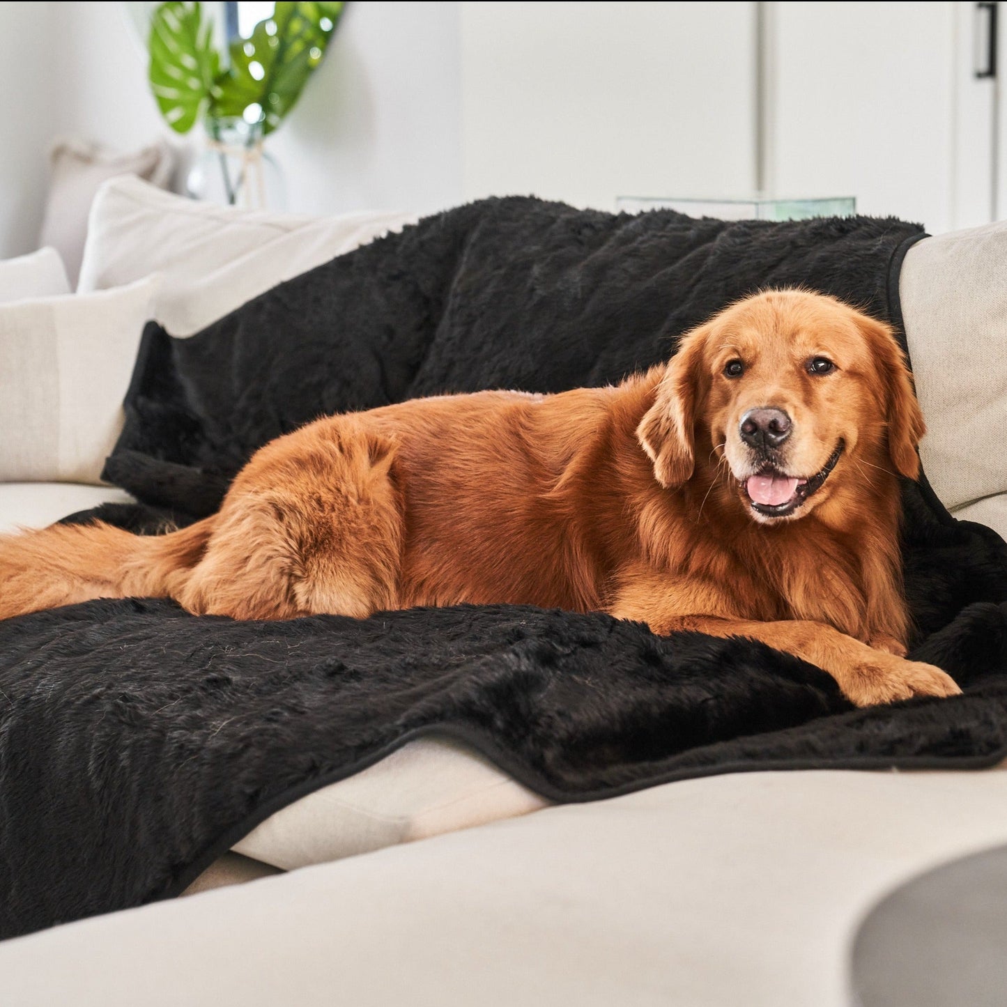 Waterproof Dog Blanket - Short Fur, Midnight Black
