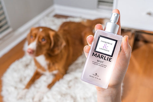 Pet Odor Remover Spray with Essential Oils