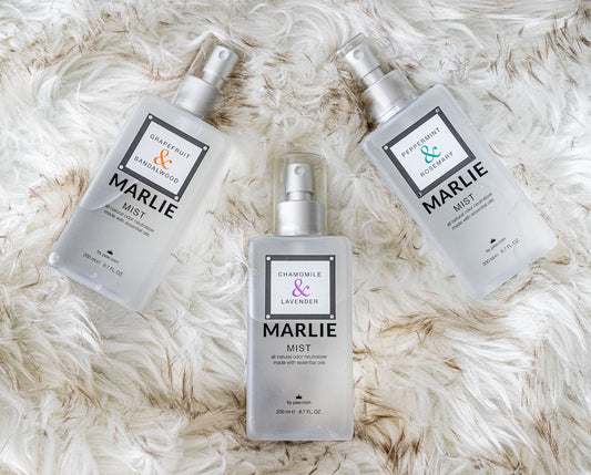 Pet Odor Remover with Essential Oils (Pack of 3)