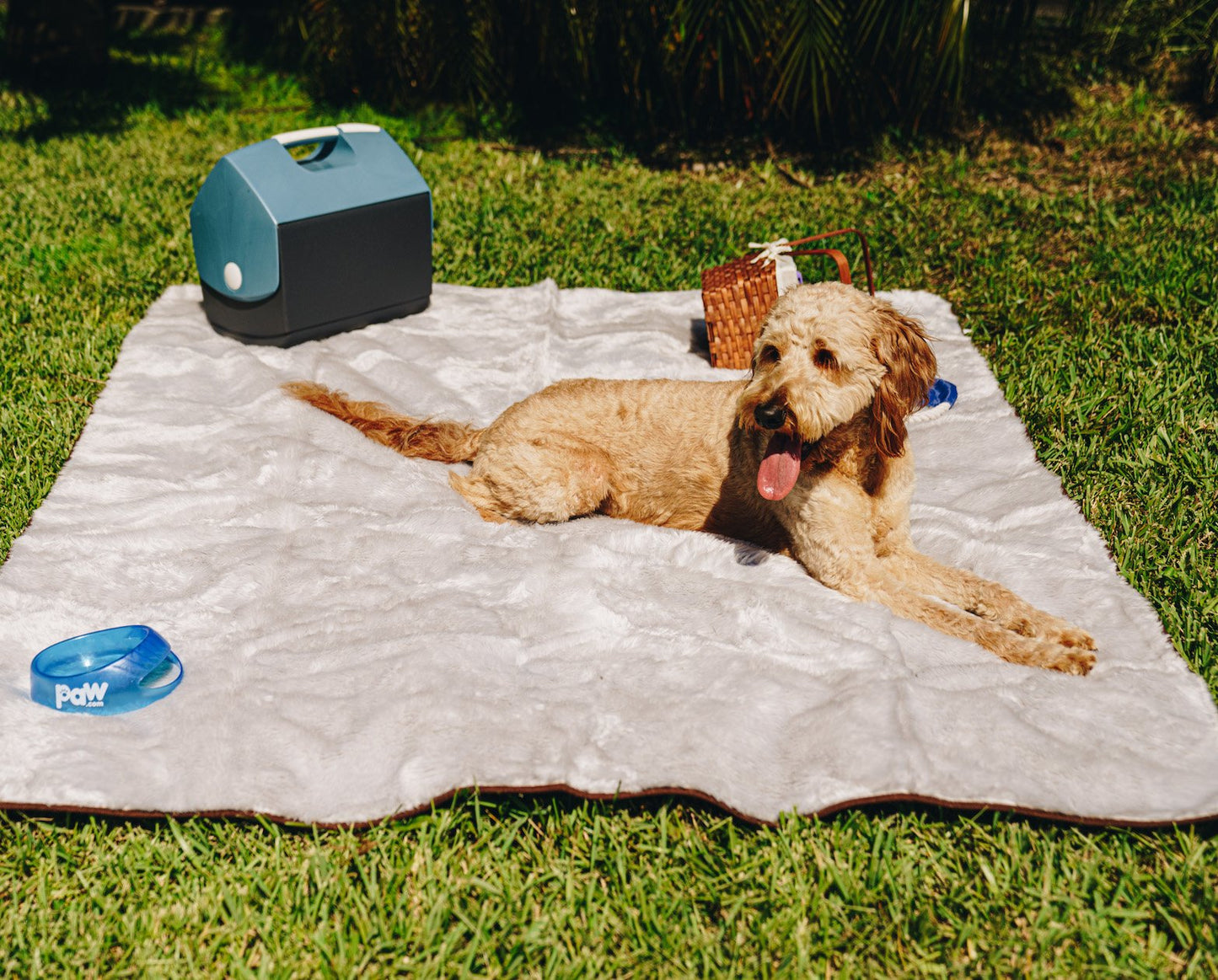 Waterproof summer blanket for dogs - Grey