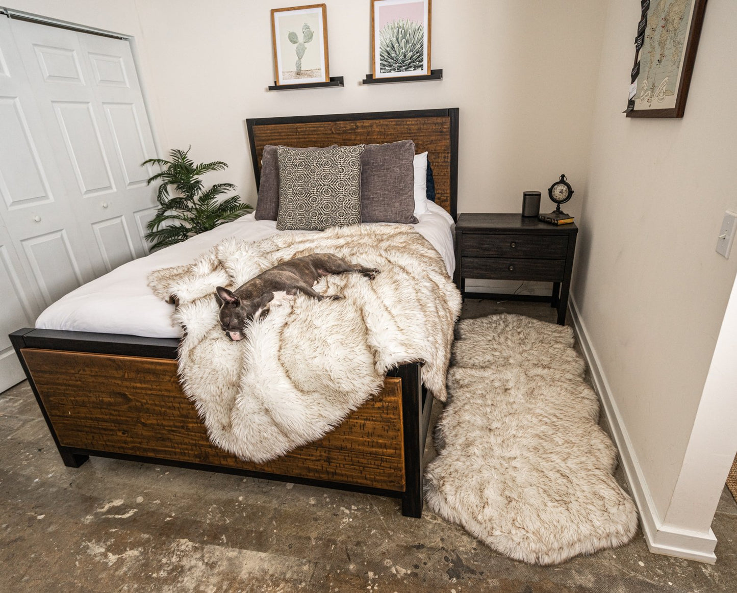 Orthopedic Dog Bed with Waterproof Blanket - White with Brown Accents