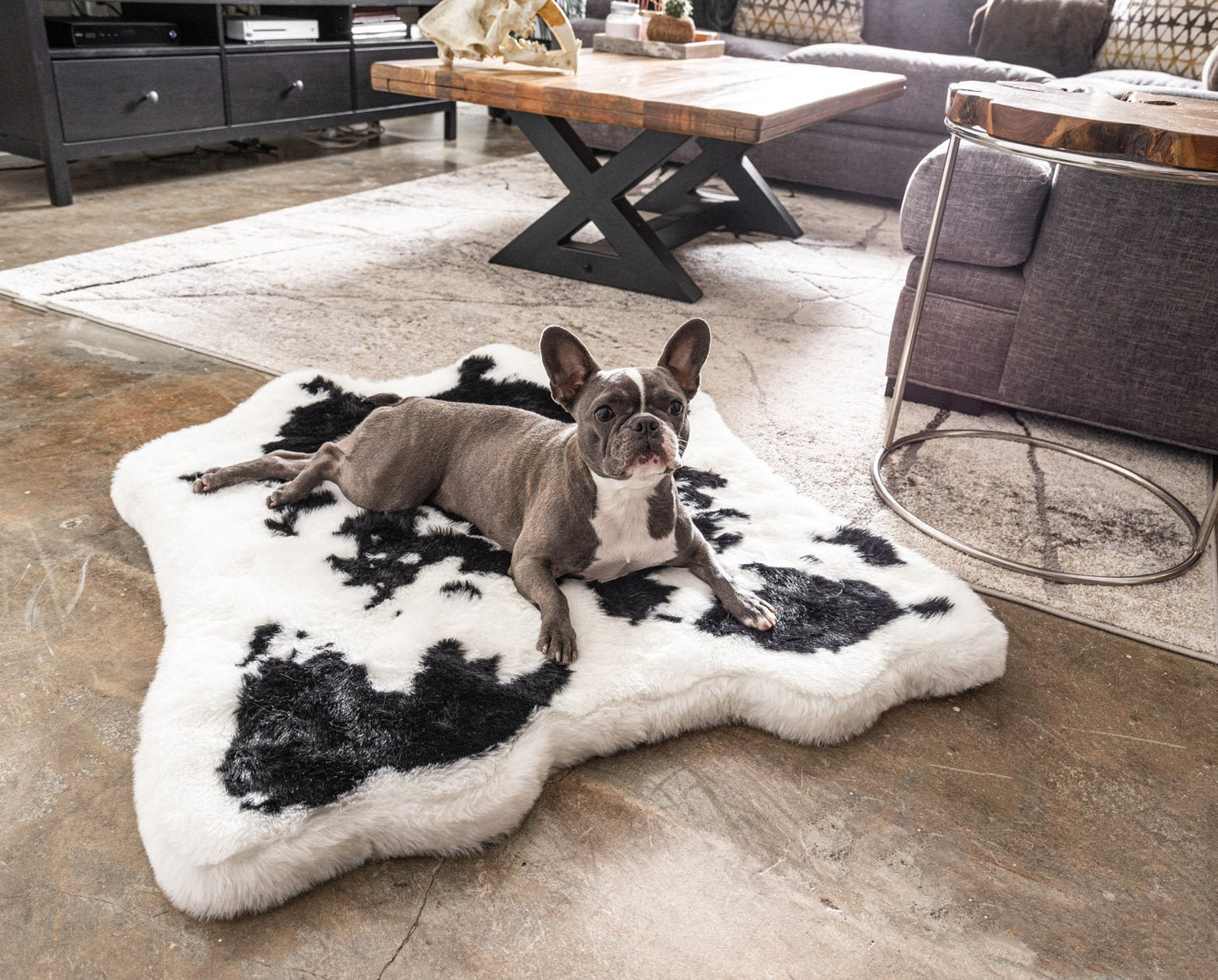 Junior Memory Foam Dog Bed with Matching Waterproof Blanket - Black Faux Fur