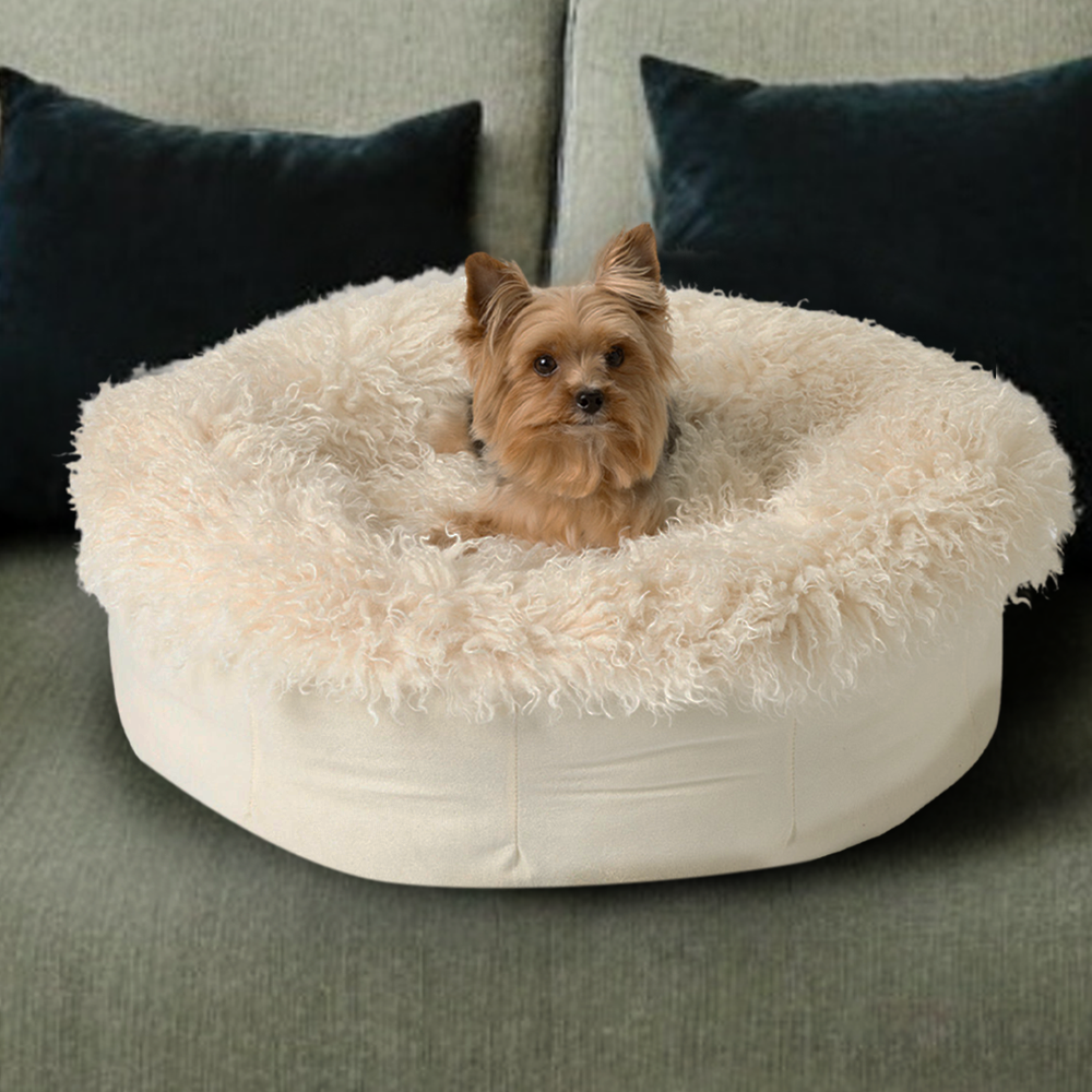 Ivory Plush Donut Dog Bed