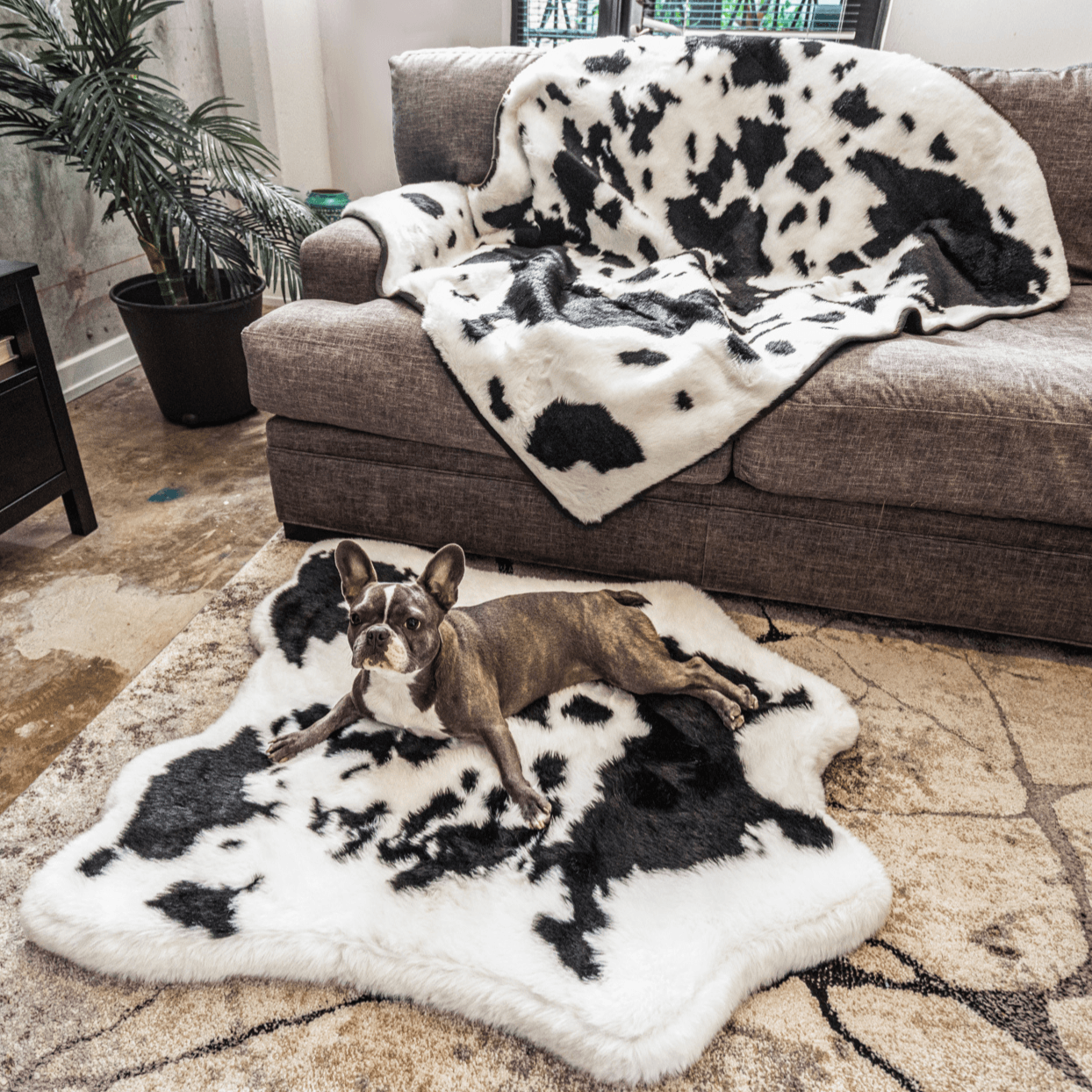 Junior Memory Foam Dog Bed with Matching Waterproof Blanket - Black Faux Fur