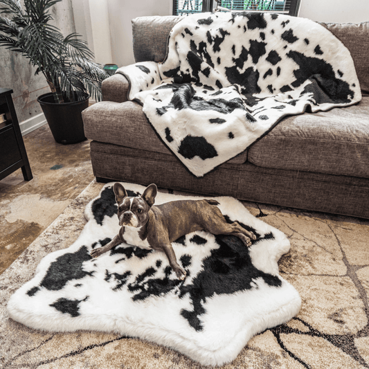Junior Memory Foam Dog Bed with Matching Waterproof Blanket - Black Faux Fur
