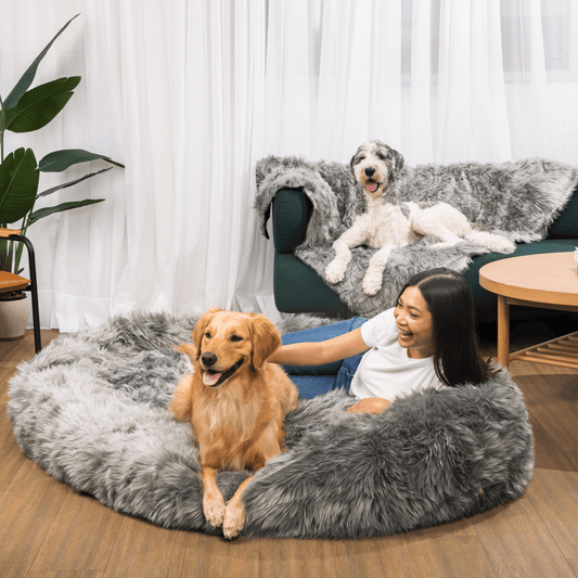 Oversized Dog Bed with Waterproof Blanket - Anthracite Grey