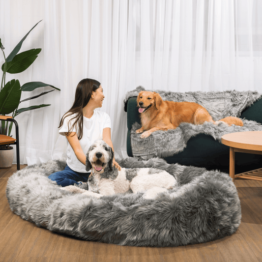 Oversized Dog Bed with Waterproof Blanket - Anthracite Grey