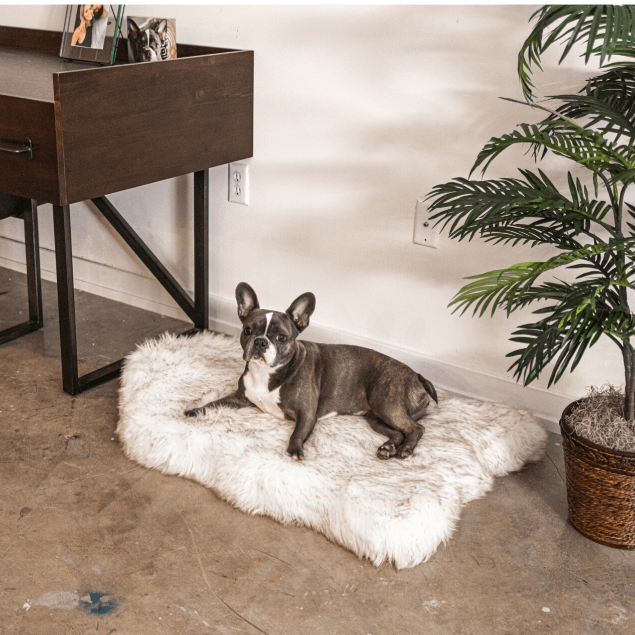 Orthopedic dog bed made of faux fur - curve white with brown accents