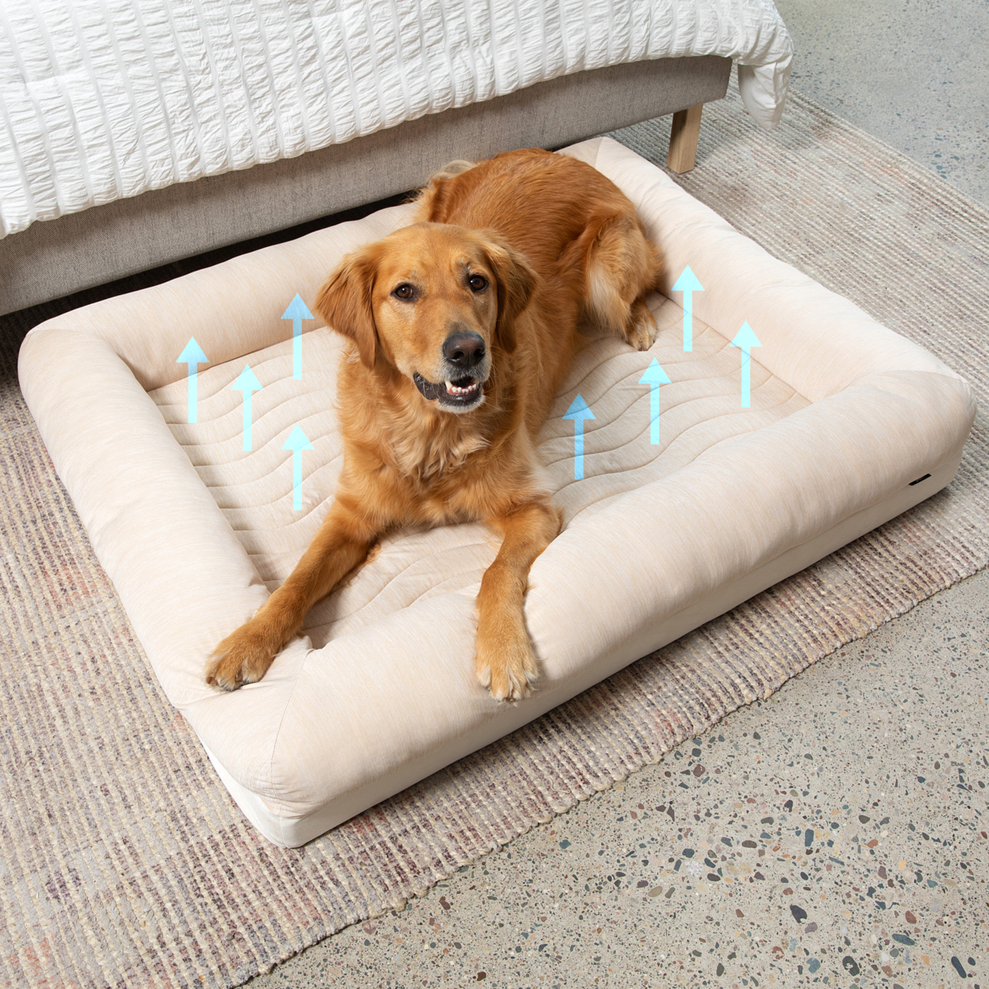 Cooling 4-bolster dog bed - Arctic Sand