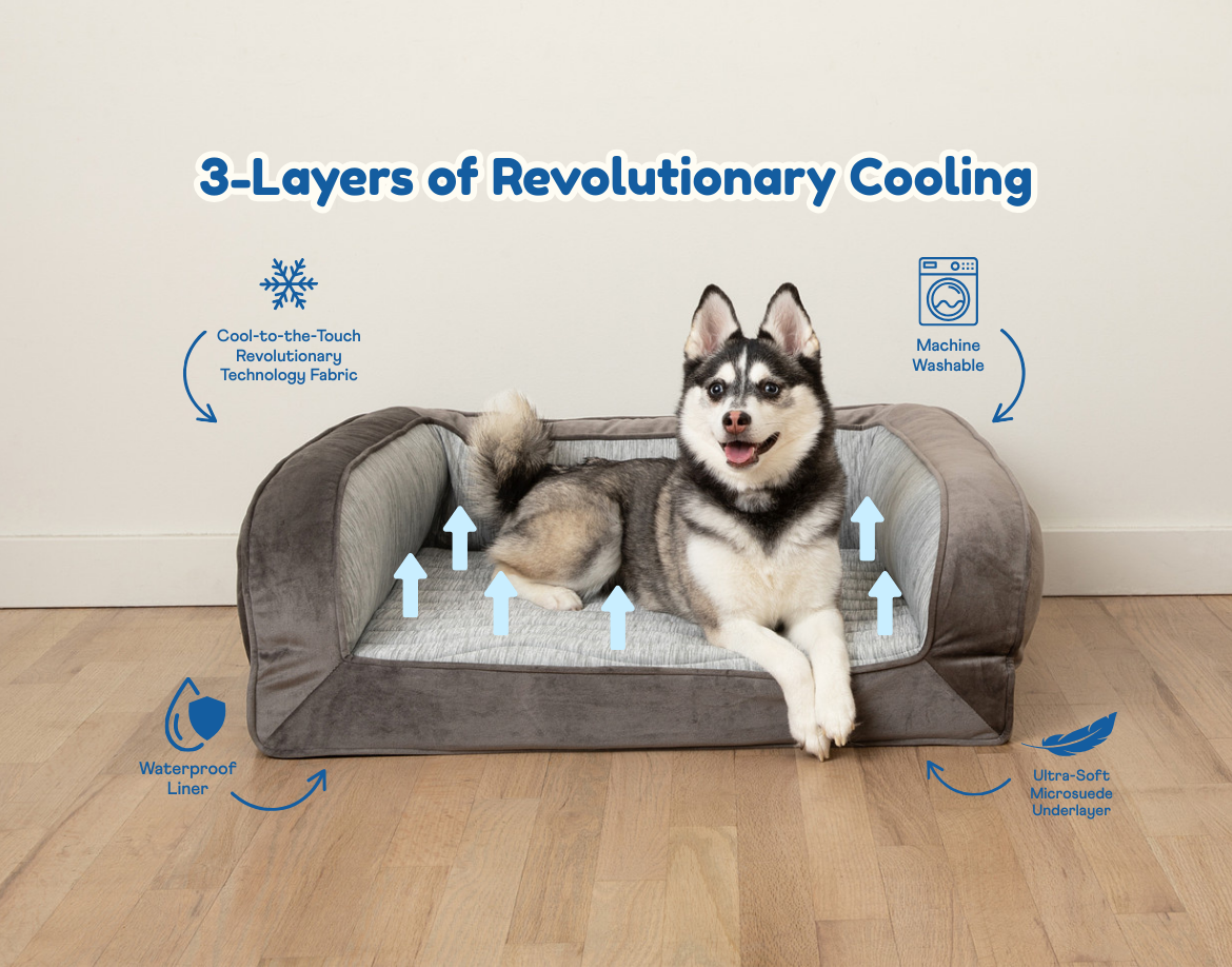 Cooling dog bed