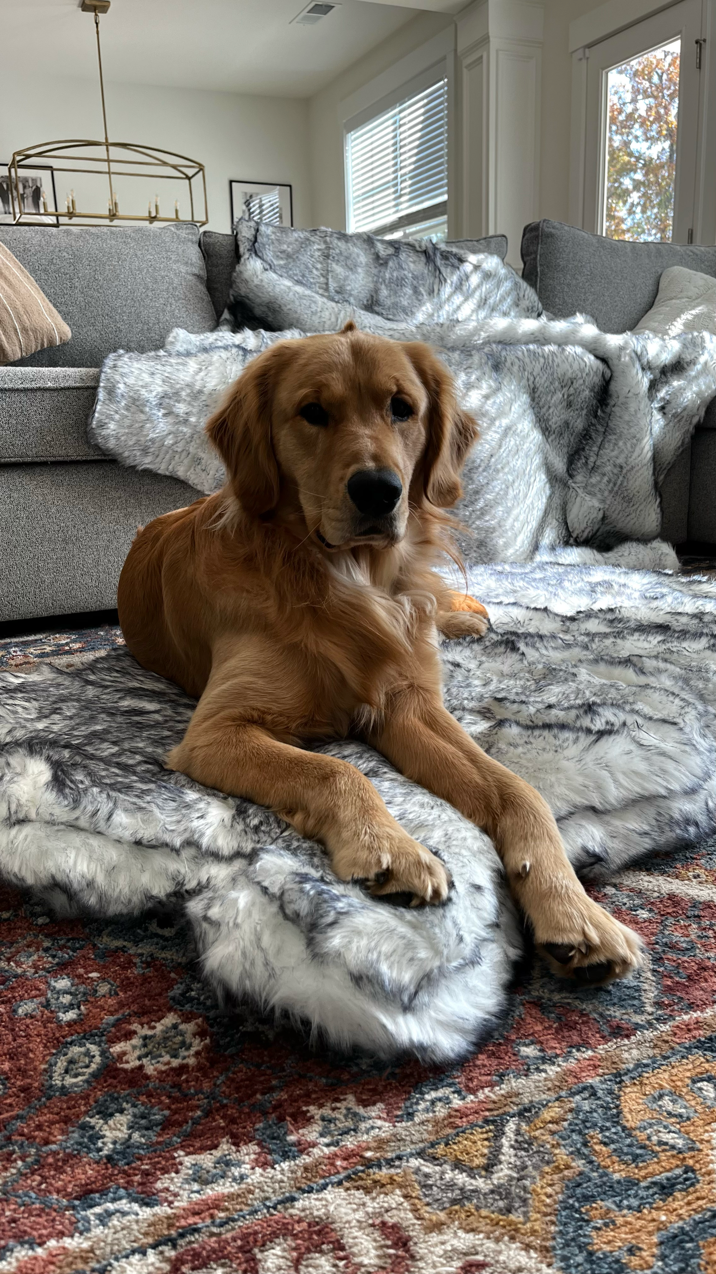 Orthopedic dog bed with waterproof blanket - Arctic Fox