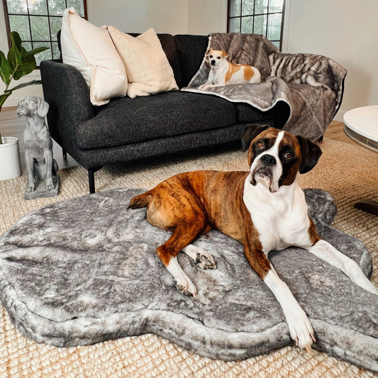 Orthopedic dog bed with waterproof blanket - Chinchilla