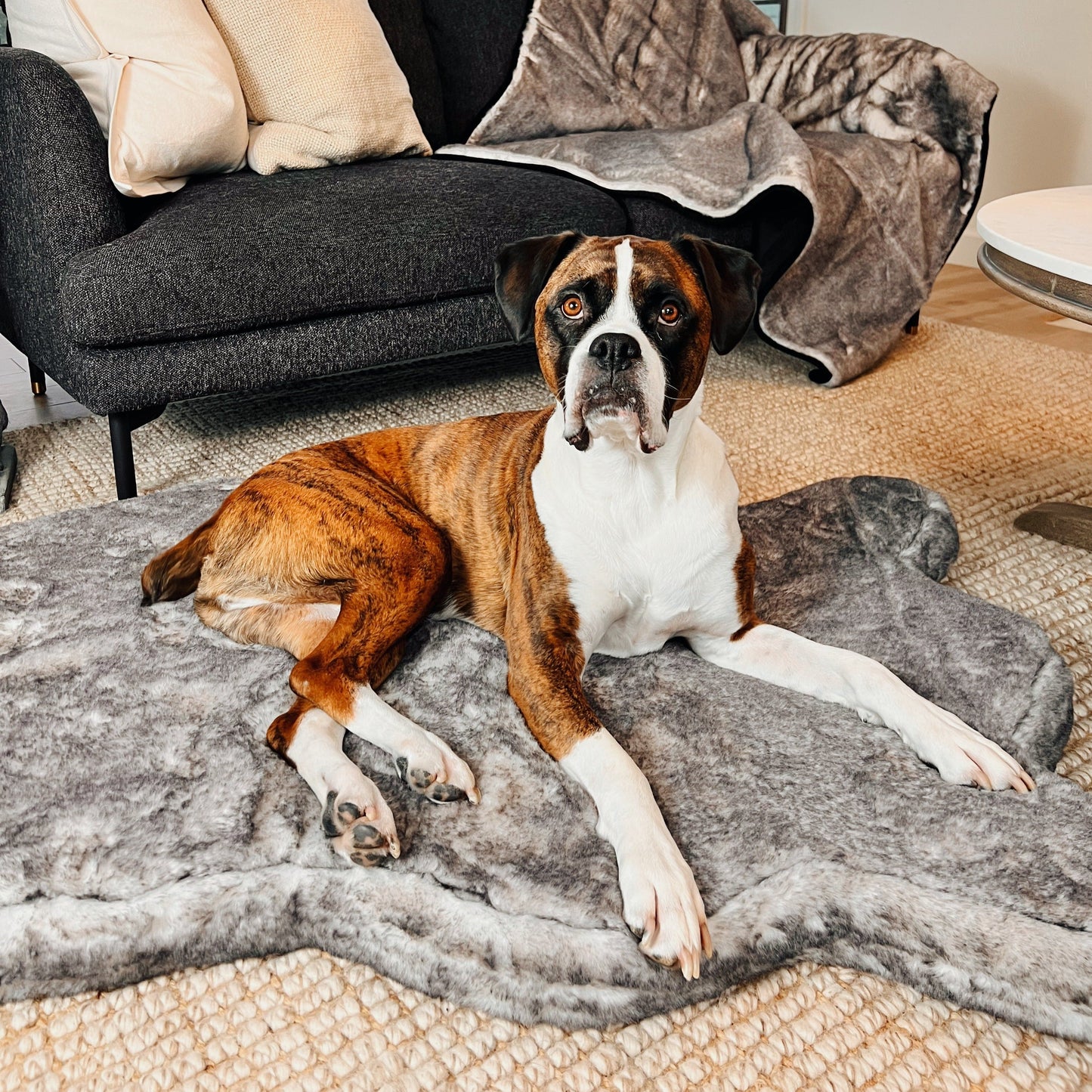 Orthopedic dog bed made of faux fur - Chinchilla