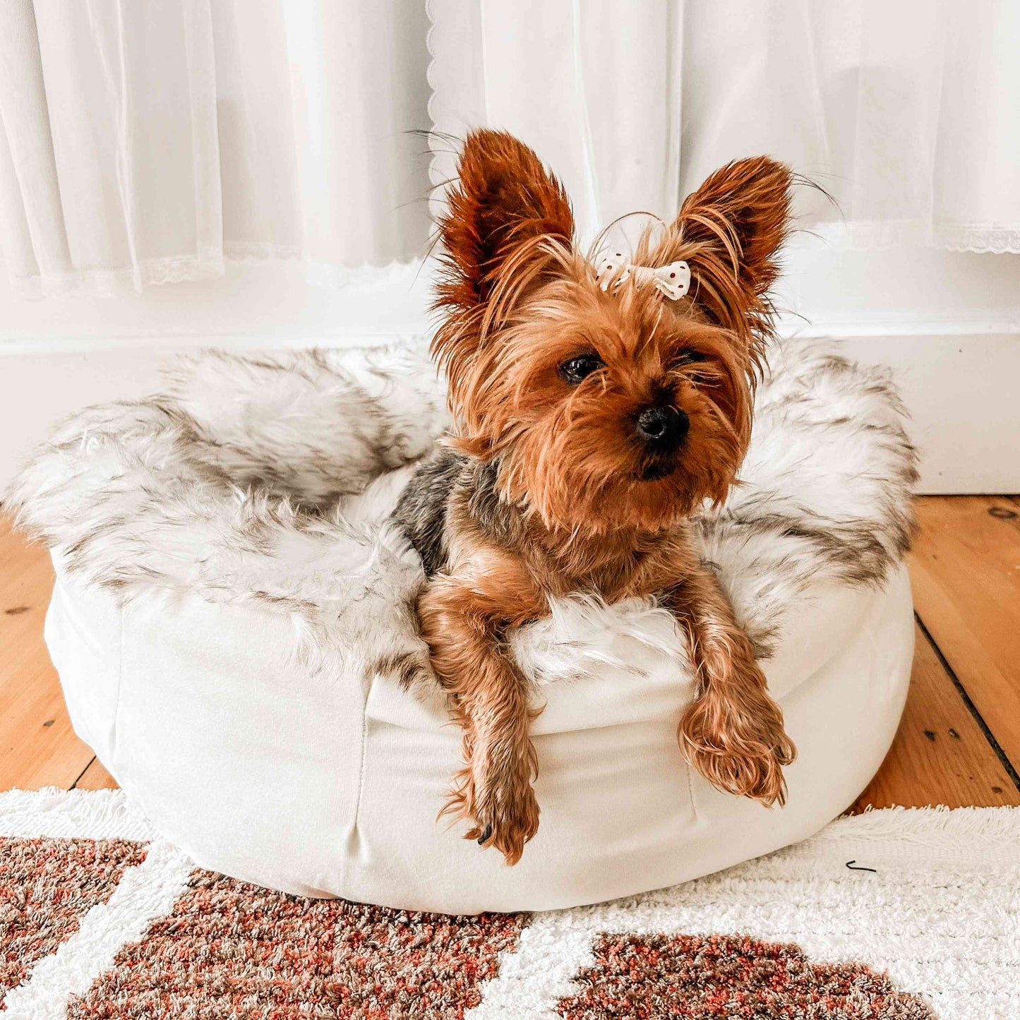 Donut Dog Bed - White with Brown Accents