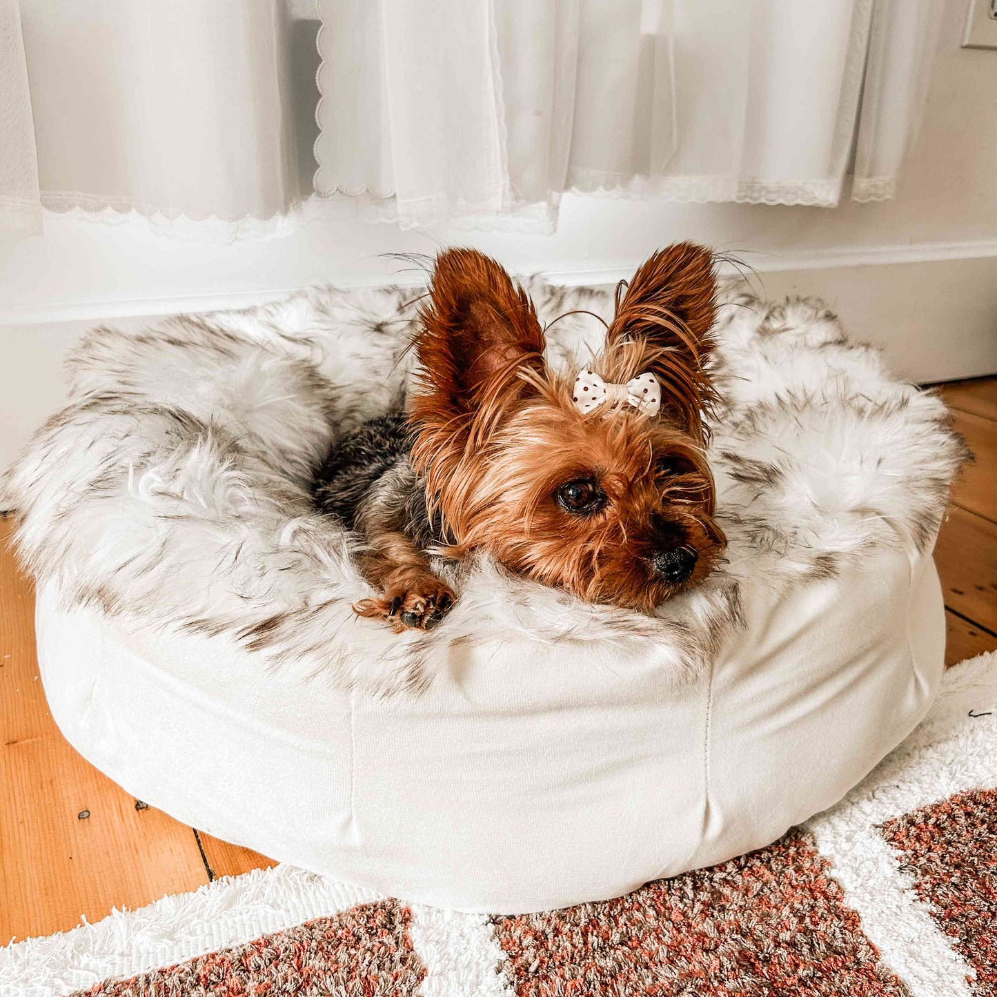 Donut Dog Bed - White with Brown Accents