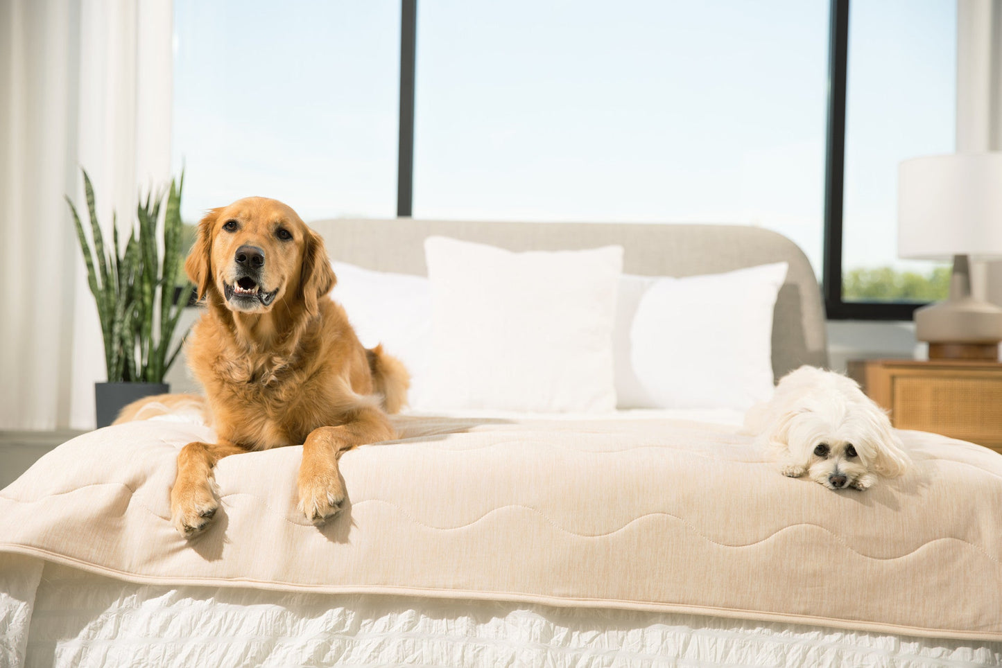 Cooling Dog Blanket - Arctic Sand