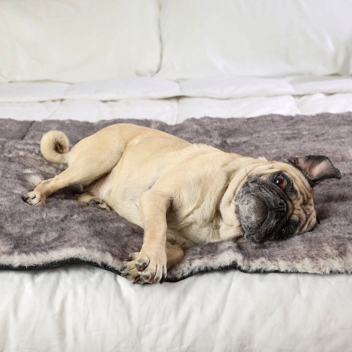 Waterproof bed runner for dogs - Chinchilla