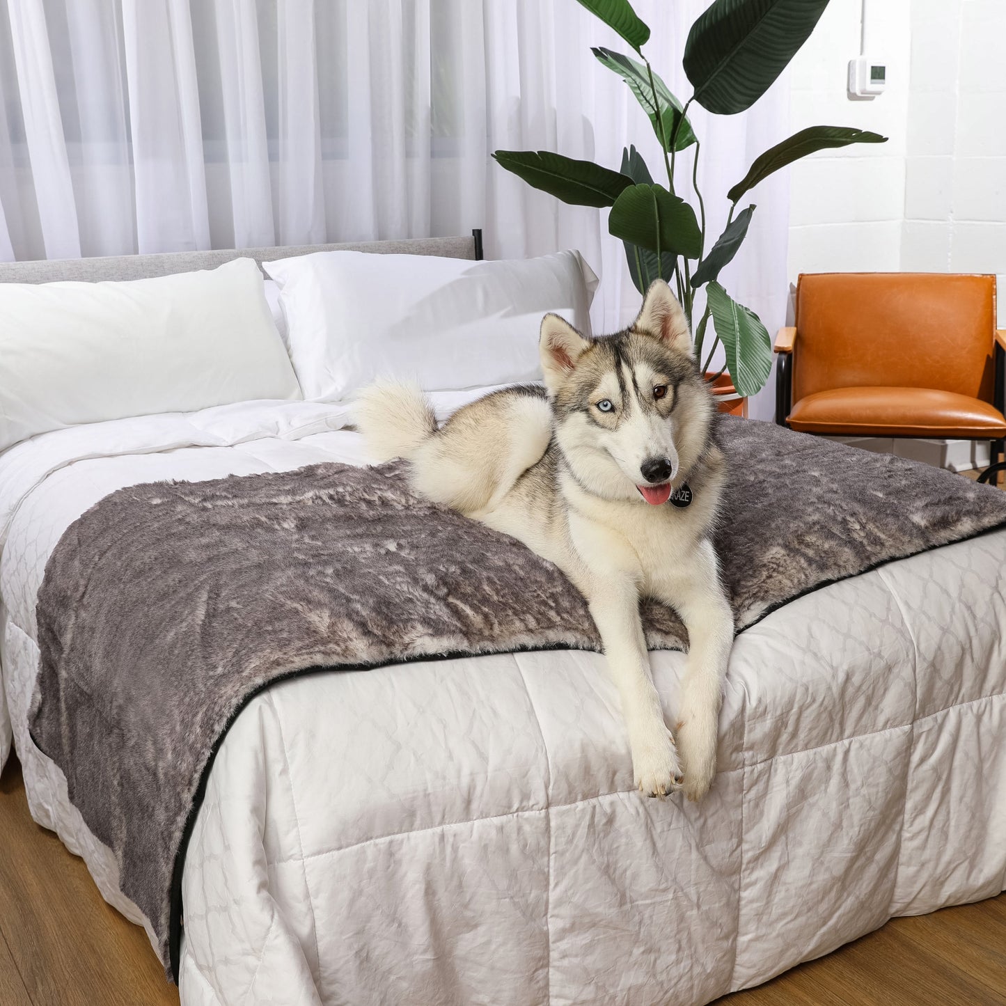 Waterproof bed runner for dogs - Chinchilla