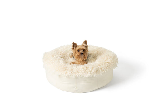 Ivory Plush Donut Dog Bed