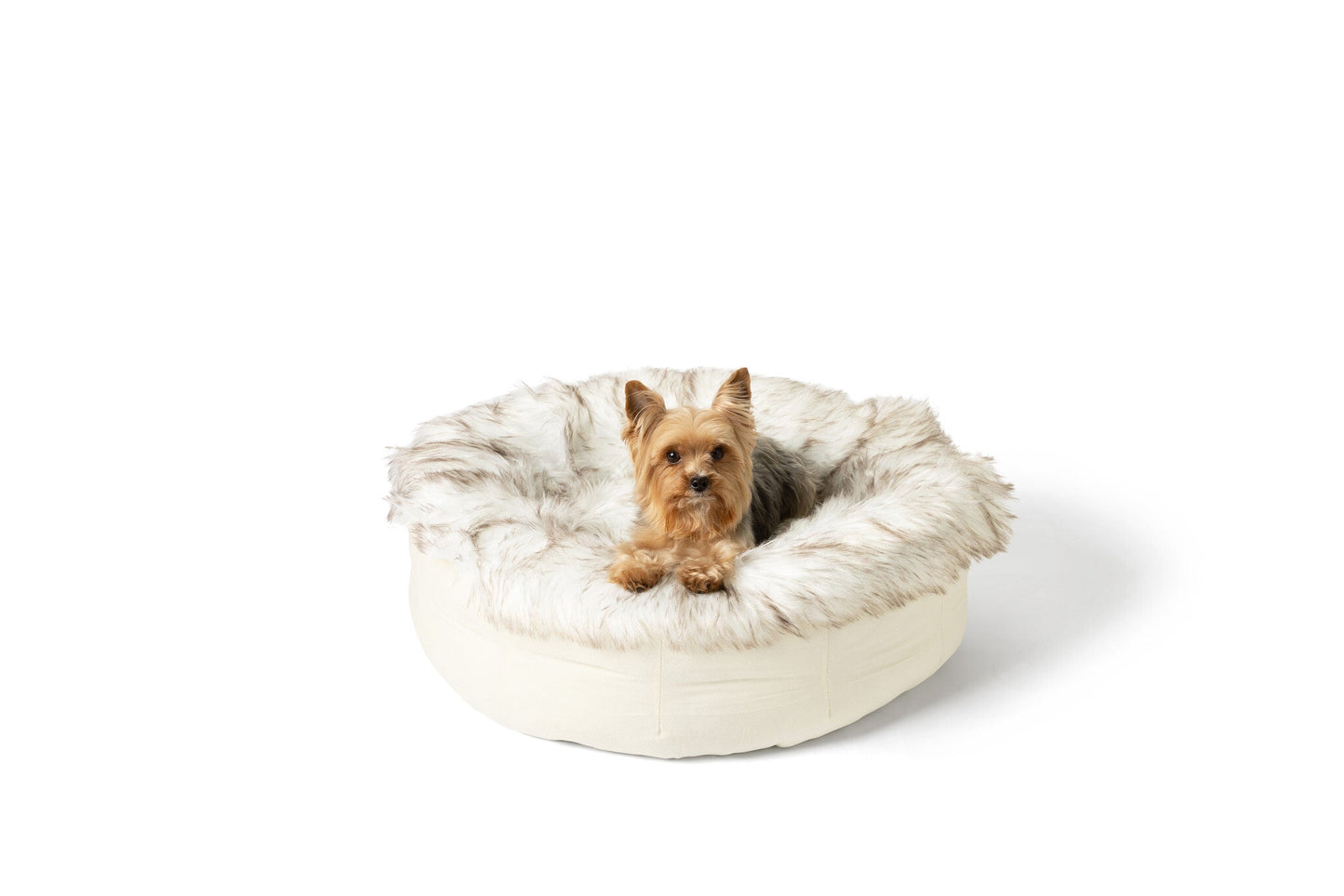 Donut Dog Bed - White with Brown Accents