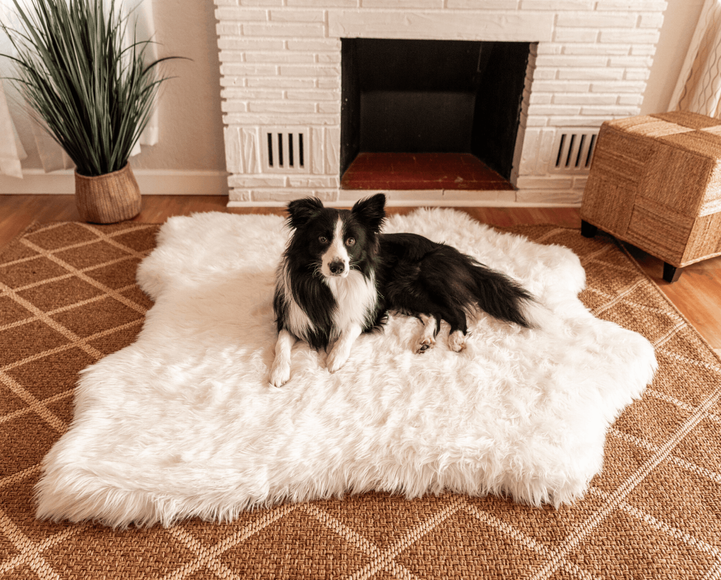 Dog bed made of memory foam with waterproof blanket - Eisbär faux velor