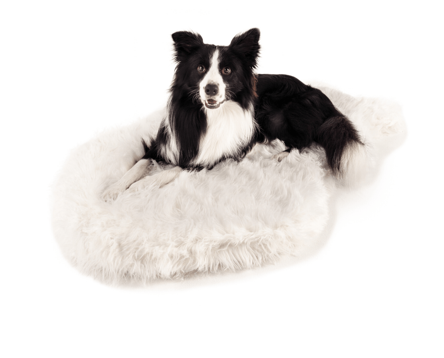 Orthopedic Dog Bed Cover Faux Fur - Curve Polar White (Bed Not Included)