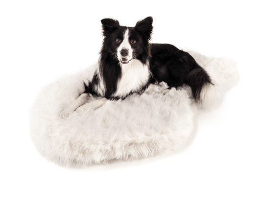 Orthopedic Dog Bed Cover Faux Fur - Curve Polar White (Bed Not Included)