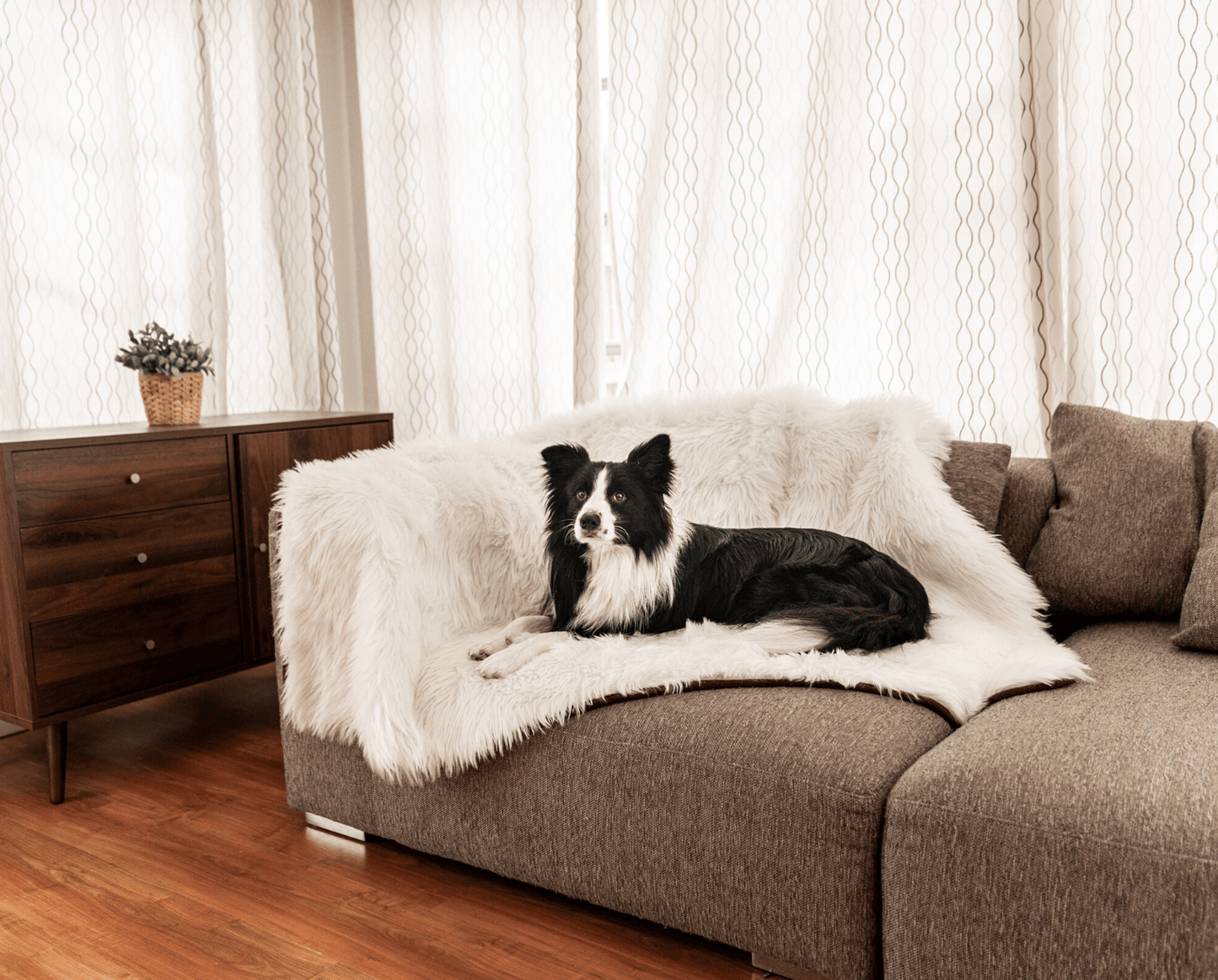 Dog bed made of memory foam with waterproof blanket - Eisbär faux velor