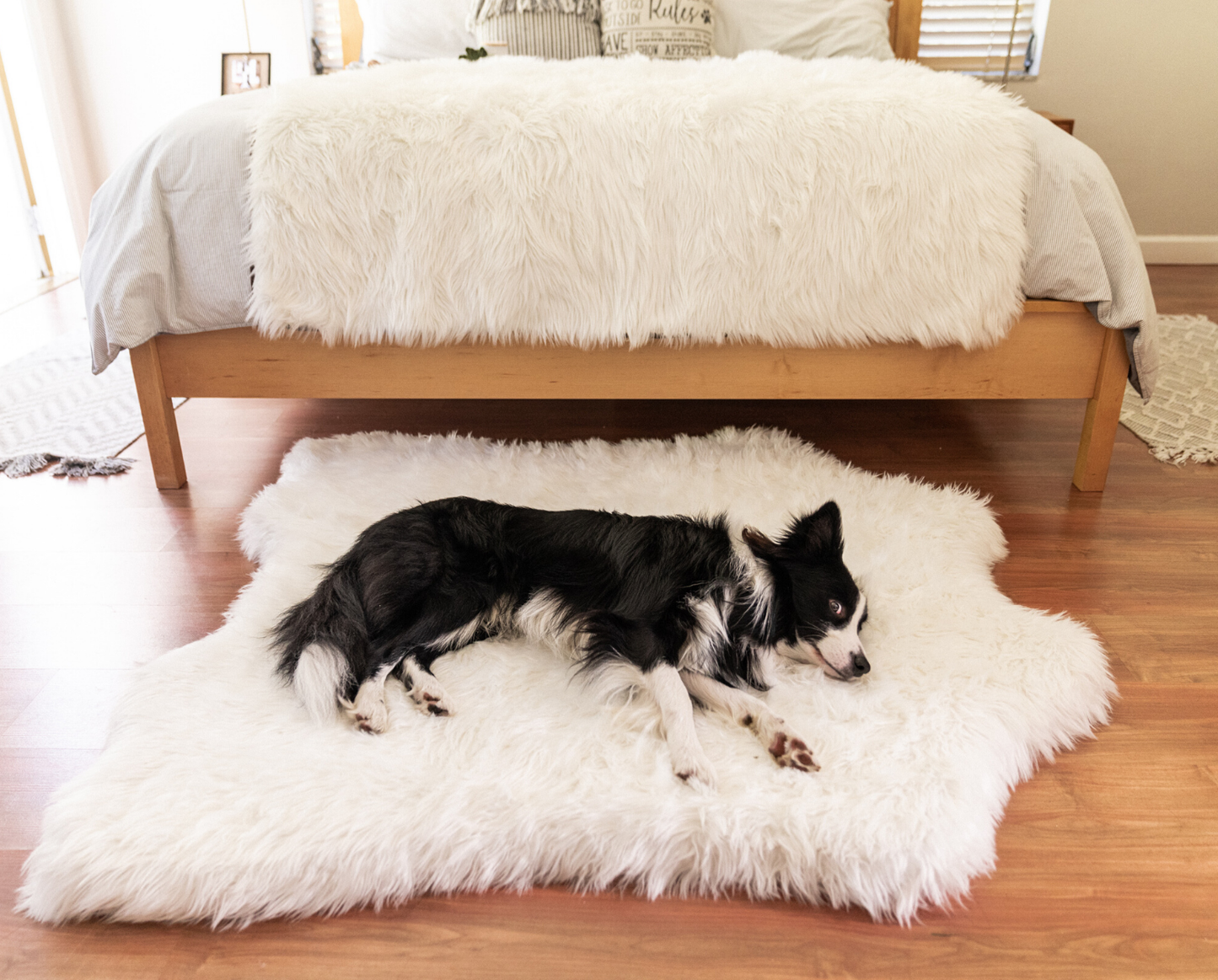 Dog bed made of memory foam with waterproof blanket - Eisbär faux velor
