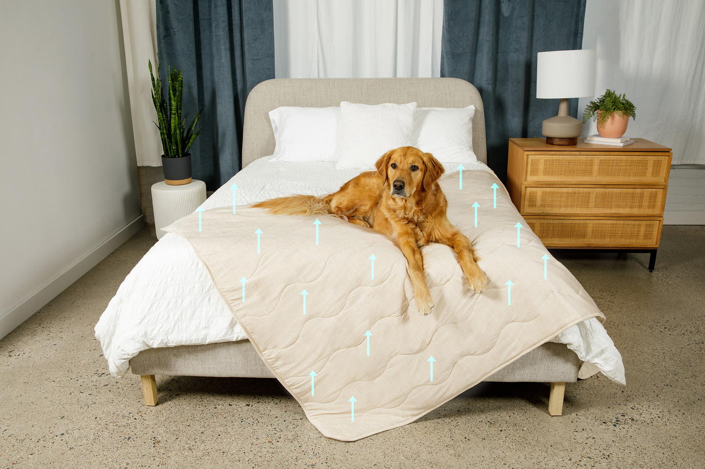 PupChill™ Arctic Sand Cooling Waterproof Blanket