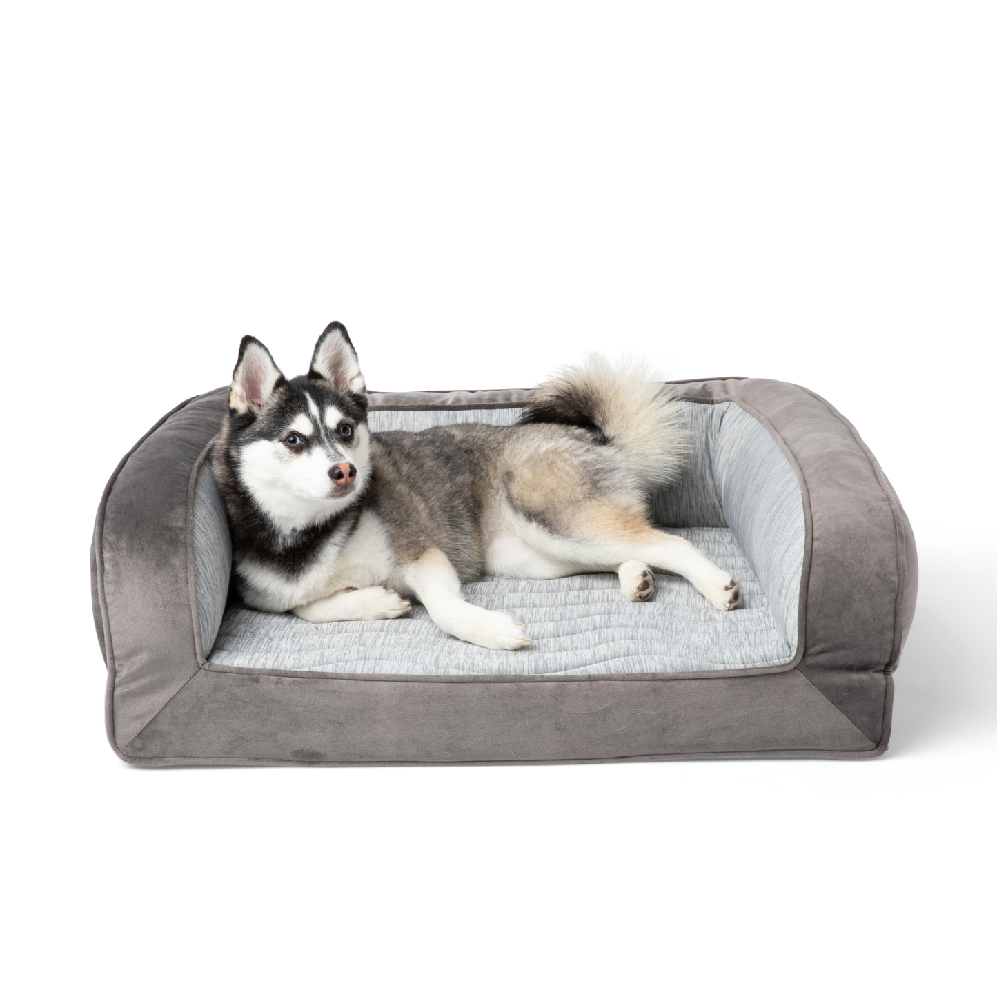 Cooling dog bed