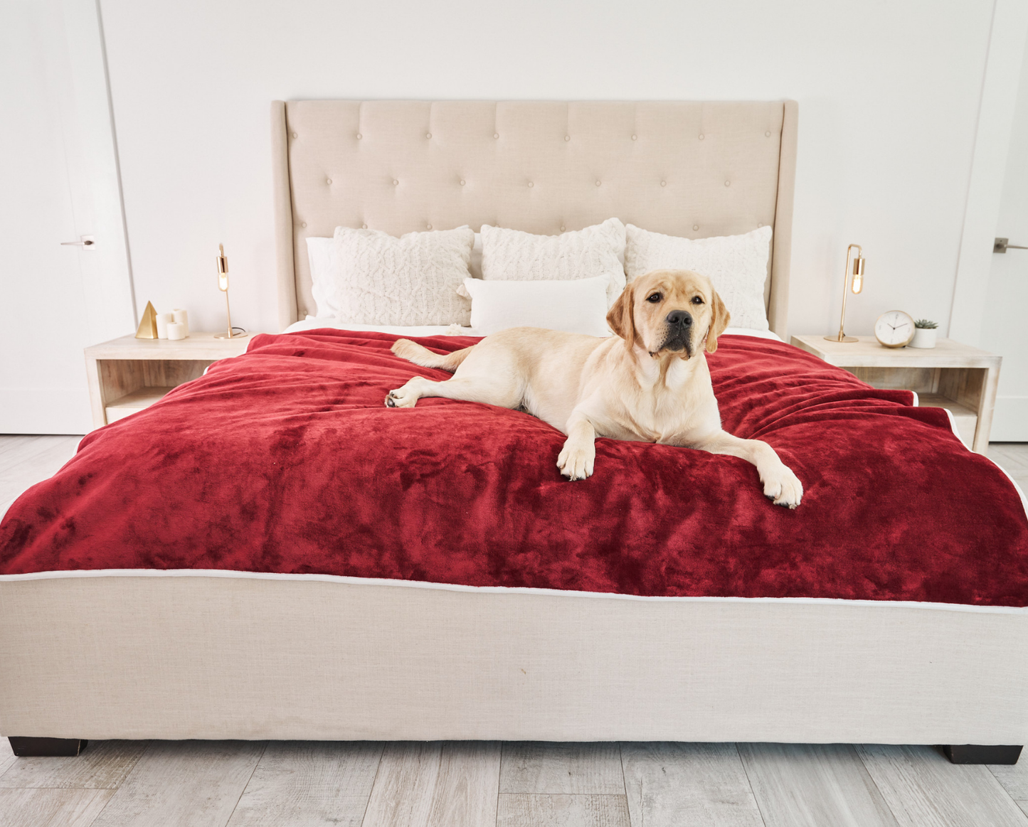 Waterproof Dog Blanket - Red Velvet