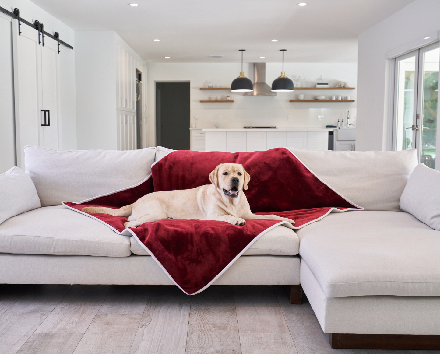 Waterproof Dog Blanket - Red Velvet