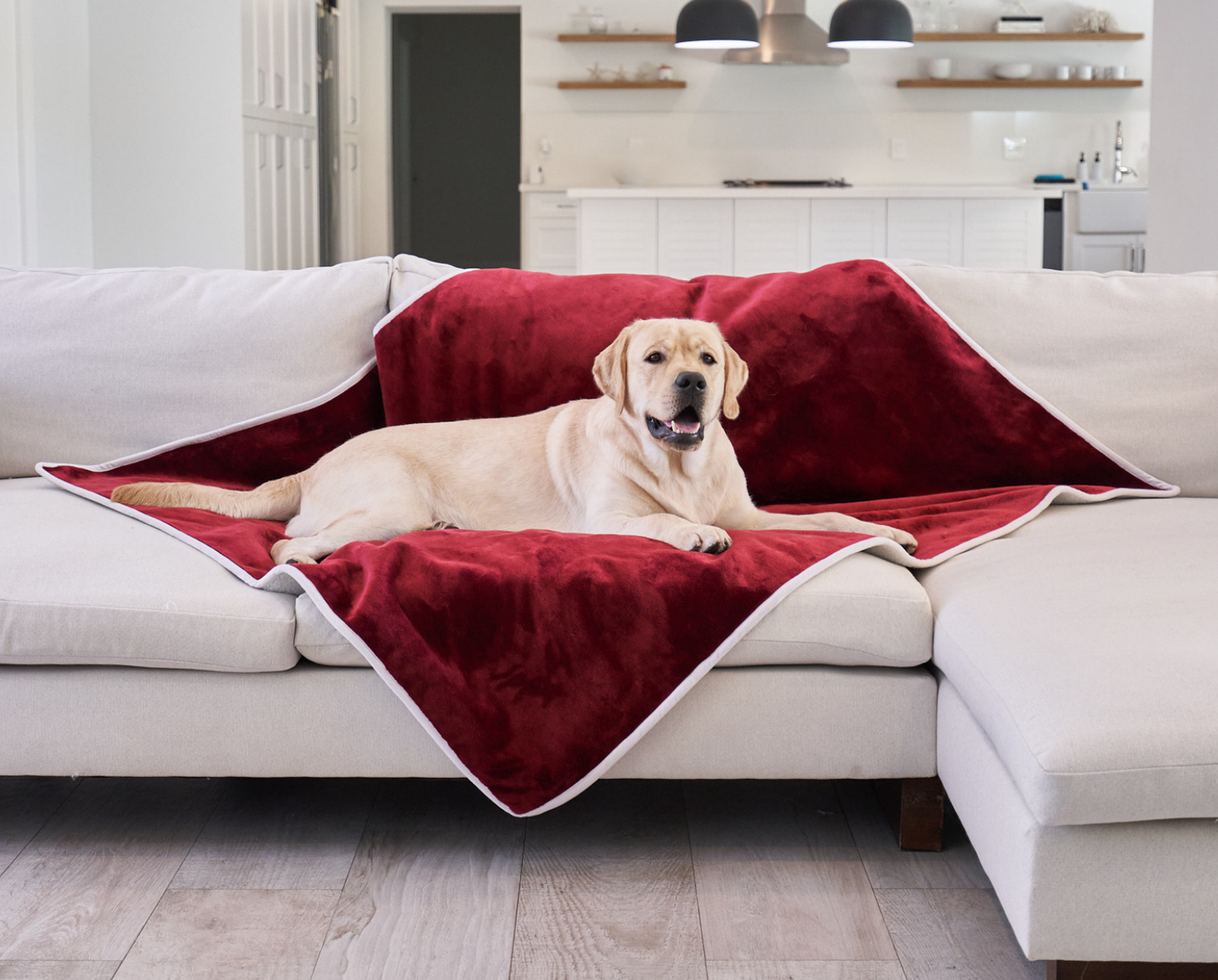 Waterproof Dog Blanket - Red Velvet