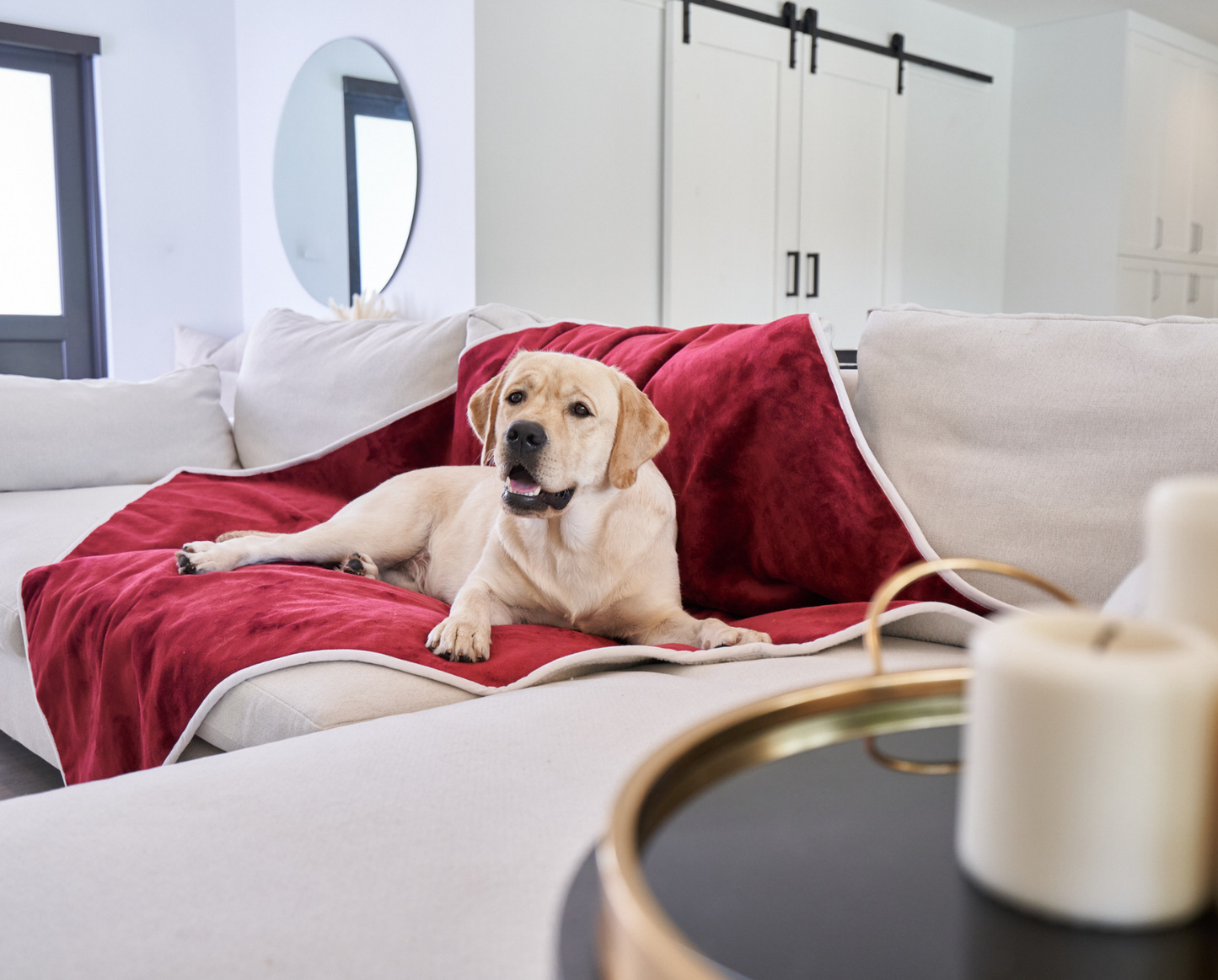 Waterproof Dog Blanket - Red Velvet
