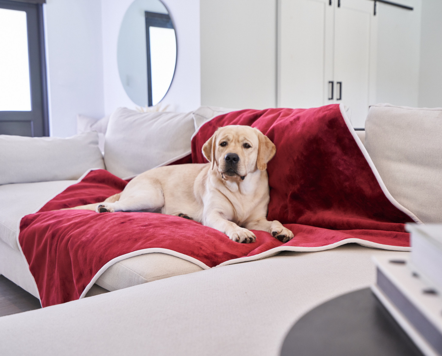 Waterproof Dog Blanket - Red Velvet