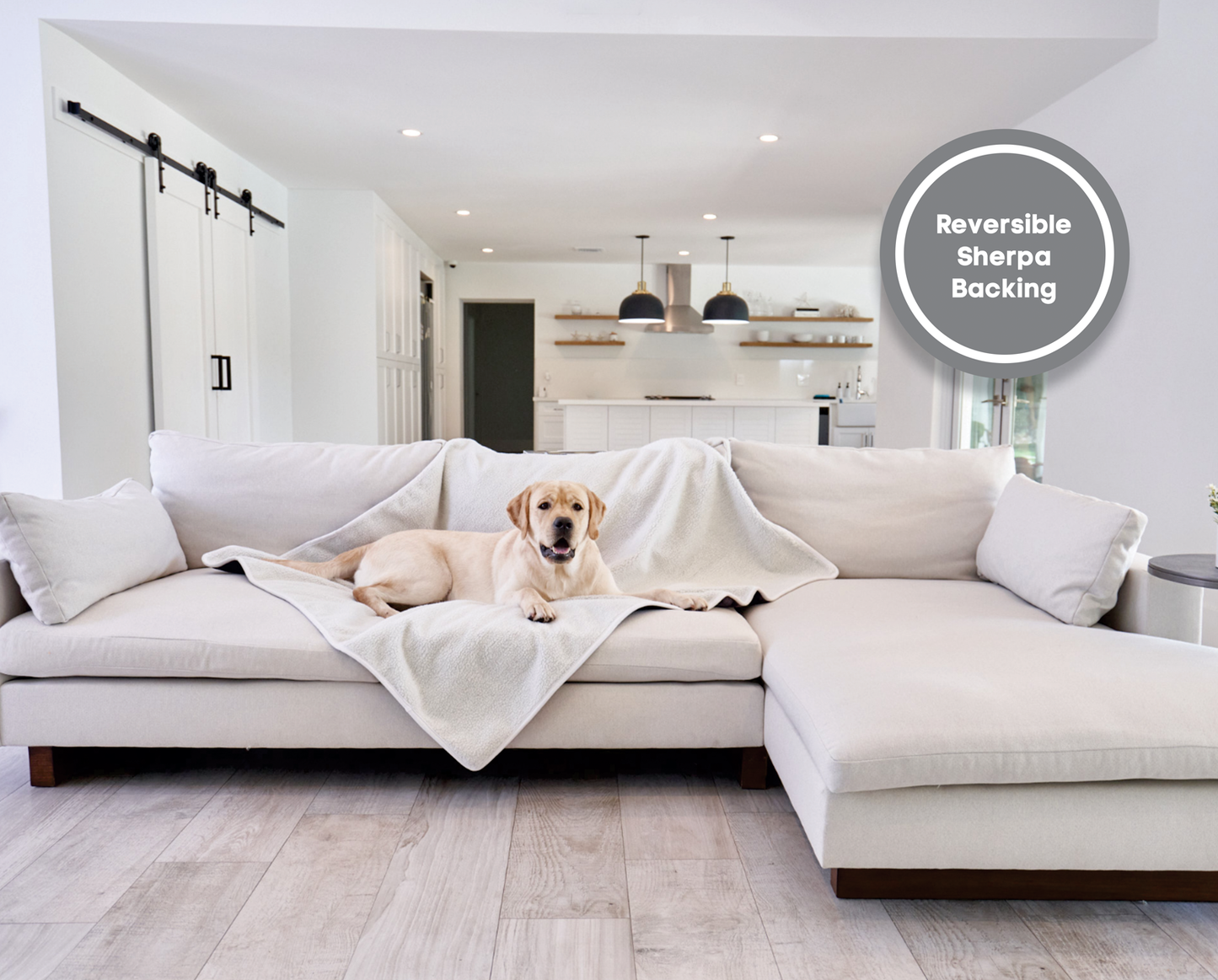 Waterproof Dog Blanket - Red Velvet