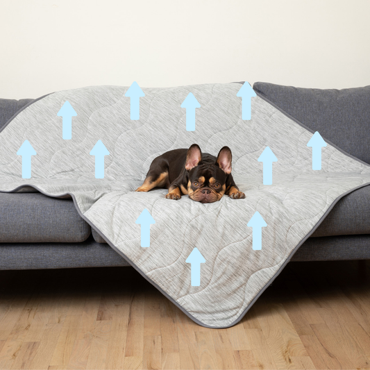 PupChill™ Arctic Grey Waterproof Cooling Blanket