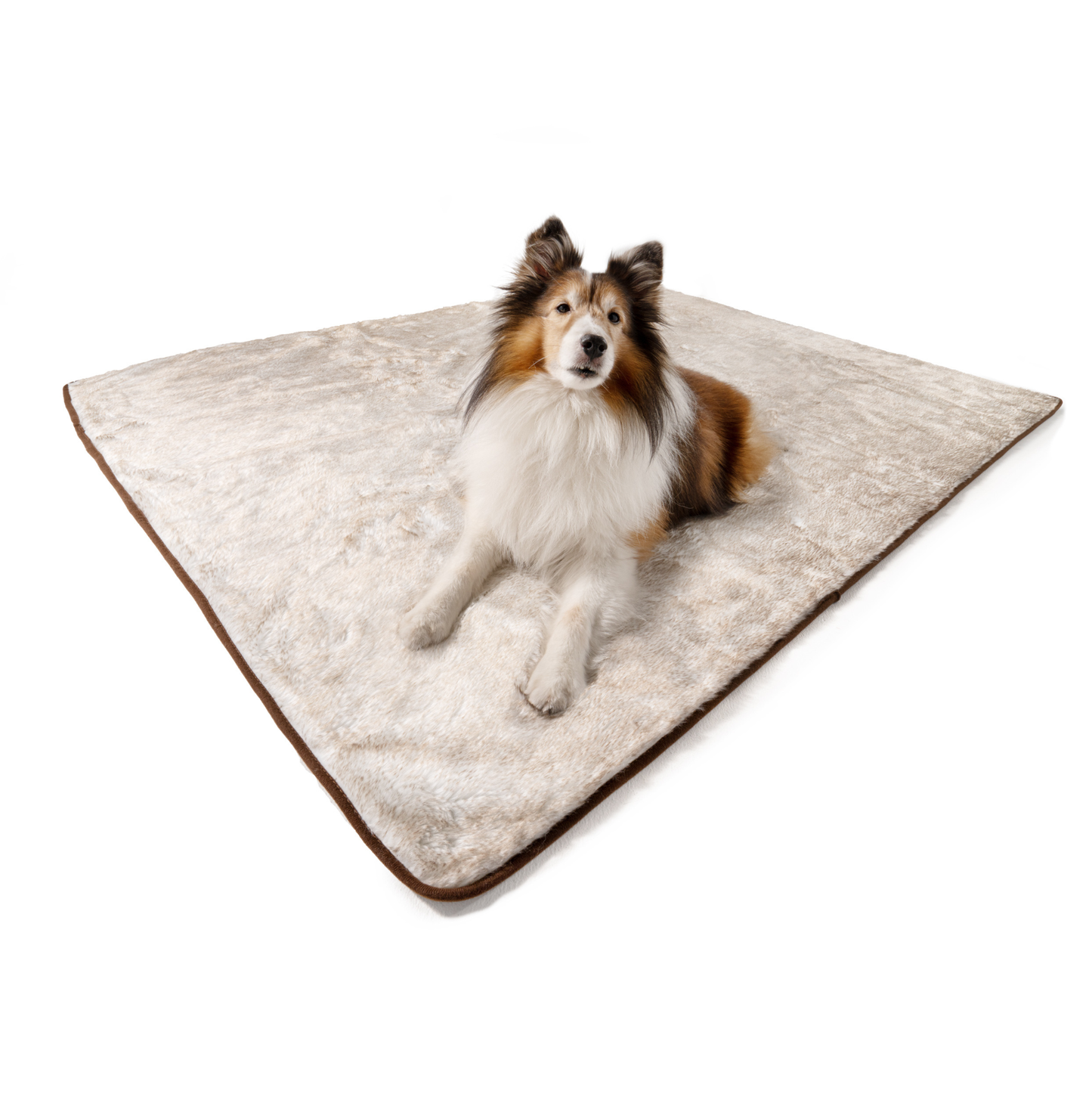 Waterproof blanket for dogs, short hair, white with brown accents